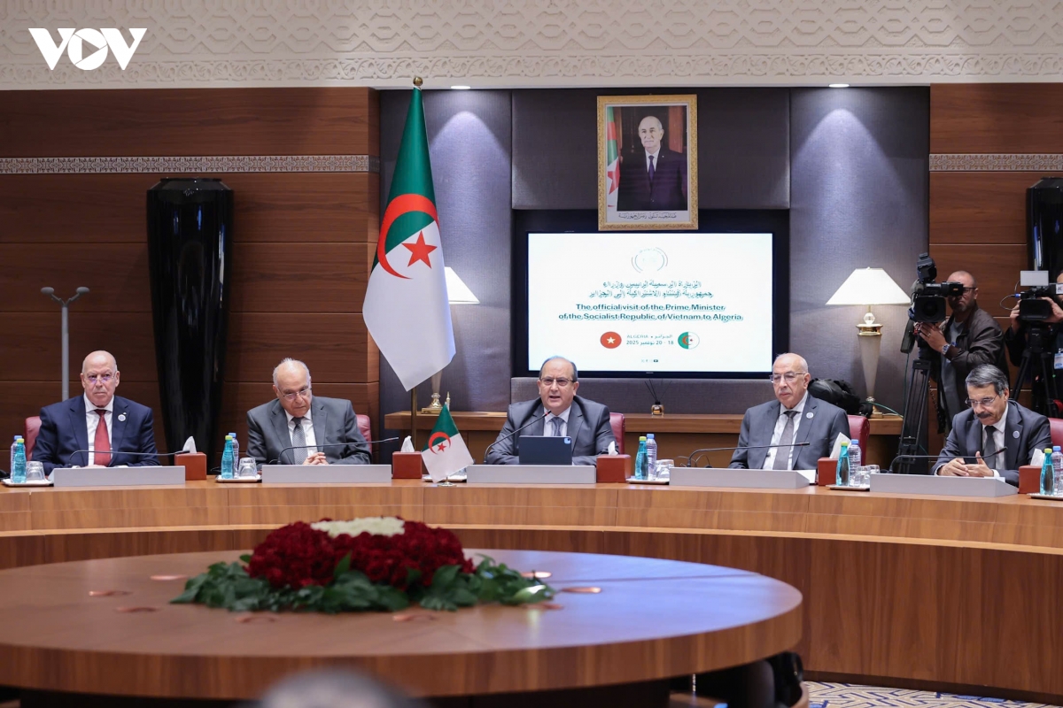 nang cap quan he viet nam - algeria len Doi tac chien luoc hinh anh 6