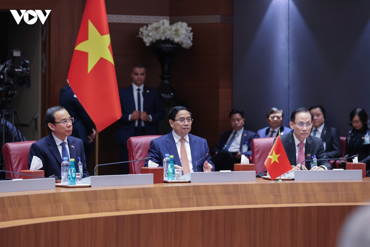 nang cap quan he viet nam - algeria len Doi tac chien luoc hinh anh 7