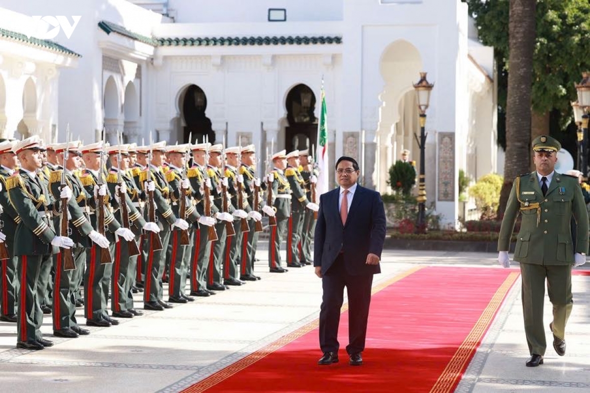 thu tuong pham minh chinh hoi kien voi tong thong algeria abdelmadjid tebboune hinh anh 1