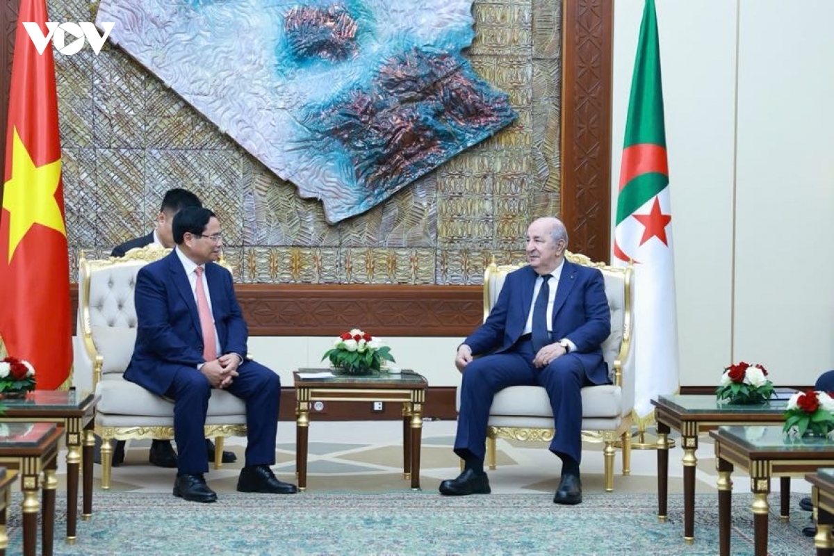 thu tuong pham minh chinh hoi kien voi tong thong algeria abdelmadjid tebboune hinh anh 3