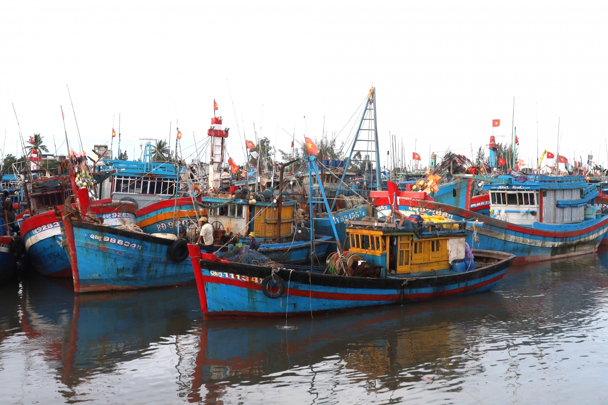chong khai thac iuu quang ngai xu phat nghiem hinh anh 5