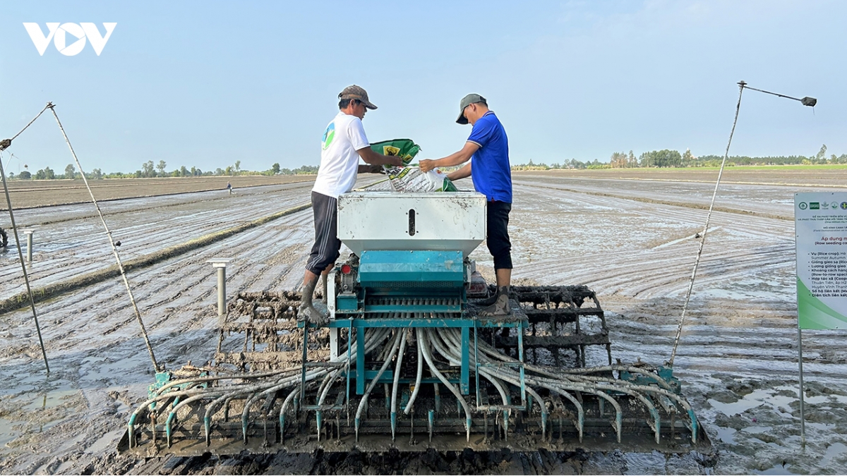 giai phap so nang chuan canh tac lua gao ben vung o Dbscl hinh anh 2