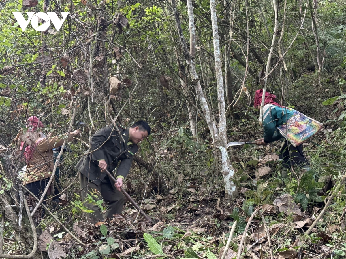 hop tac bao ve rung khu vuc bien gioi son la - hua phan lao hinh anh 2