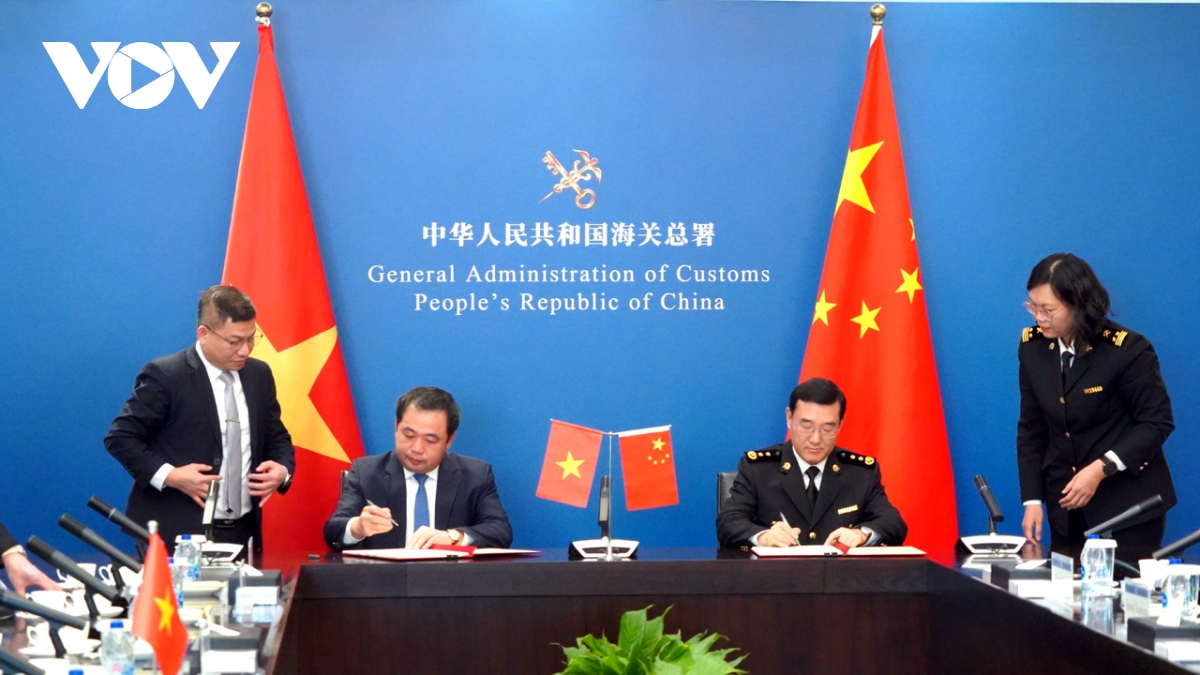 Xuất khẩu mít tươi chính ngạch vào Trung Quốc: Cơ hội nâng tầm nông sản Việt