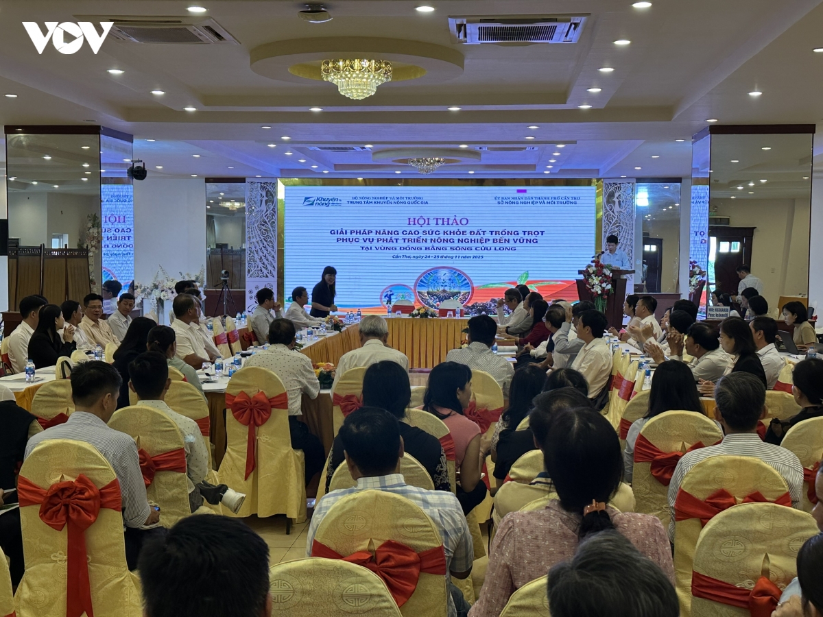 tim giai phap nang cao suc khoe dat vung Dbscl hinh anh 1