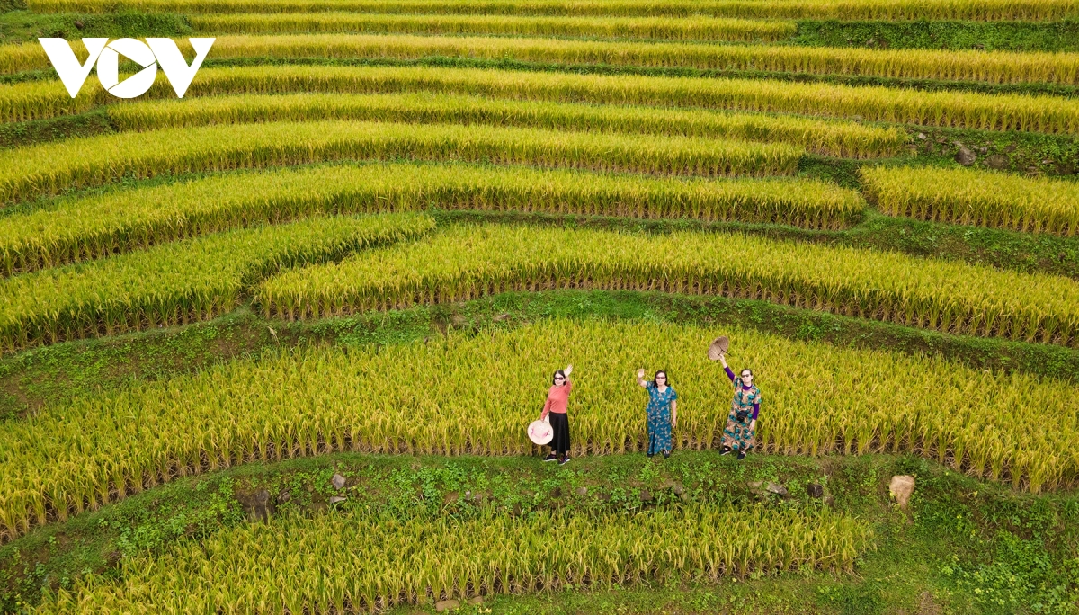 dinți ceramici galbeni, albi iarna pe mare, Quang Ninh imagine 2
