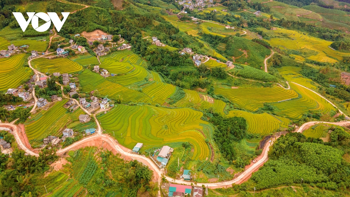 Dinți galbeni din ceramică, albi iarna pe mare, Quang Ninh imagine 4