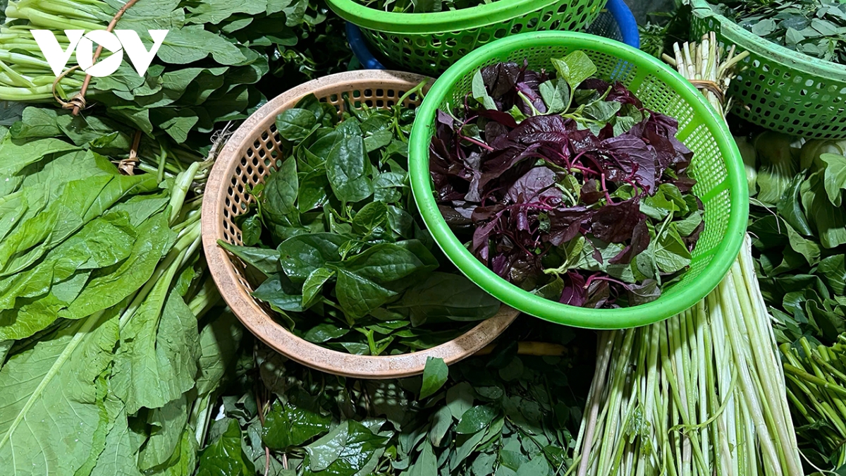 Giá rau xanh ở Hà Nội tăng chóng mặt do khan hiếm sau bão lụt