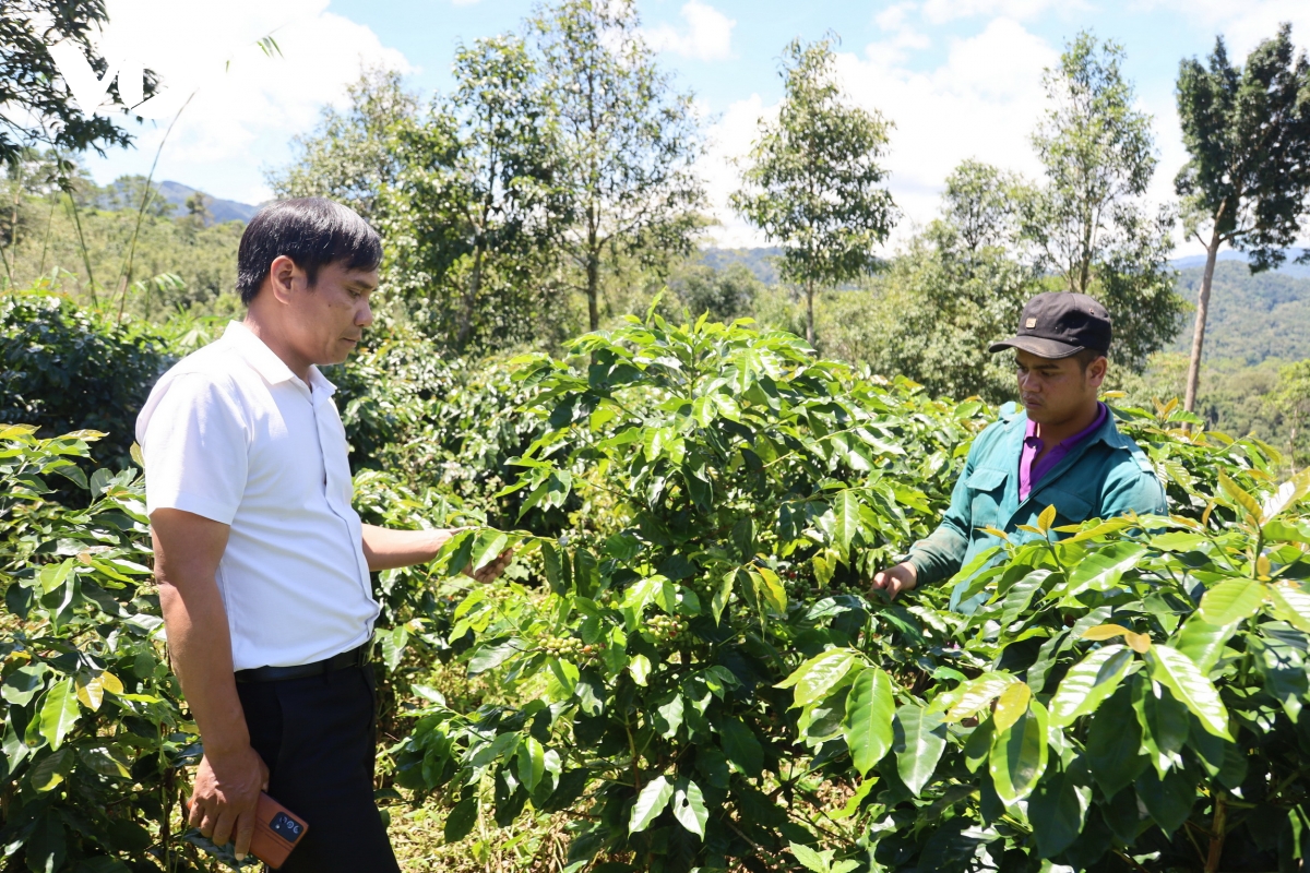 thu hut nguoi gioi ve cap xa can dat dung vo hinh anh 2