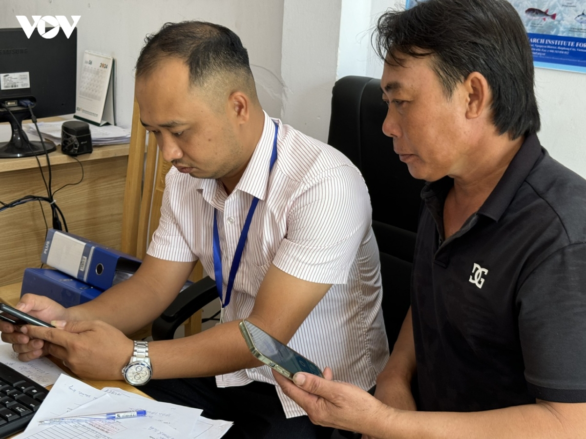  so hoa quan ly tau ca, tp.hcm quyet tam go the vang iuu hinh anh 2