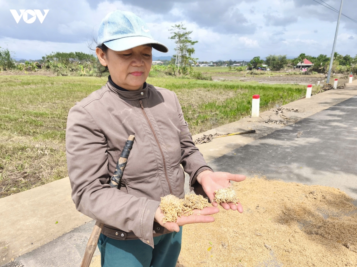 suc song o vung lu son hoa hinh anh 1