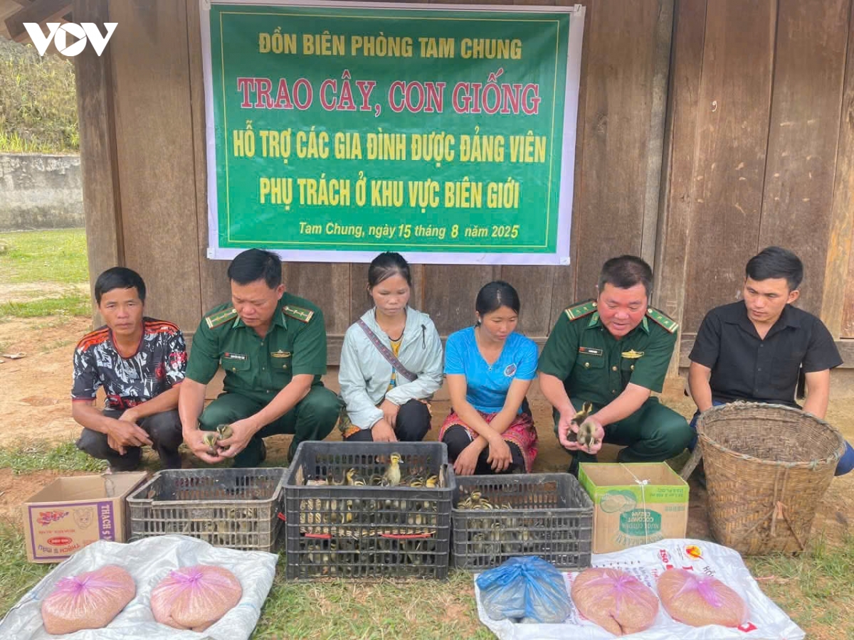 thap sang nhung ban lang vung bien bang suc linh quan ham xanh hinh anh 7