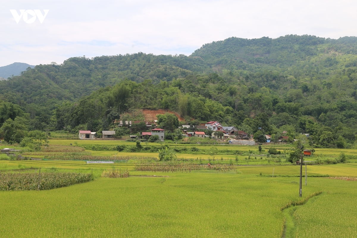 thi dua yeu nuoc tu nhung viec binh di moi ngay o vung cao thai nguyen hinh anh 3