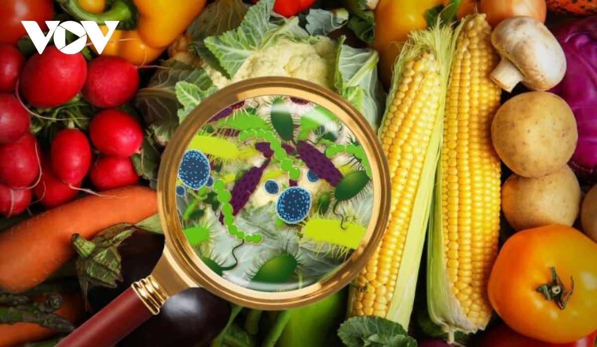 Nhiều công nhân nghi ngộ độc thực phẩm sau bữa trưa