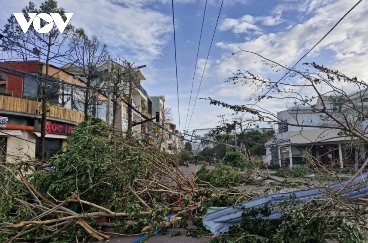 typhoon kalmaegi leaves over 2,400 houses roofless and 2 dead in gia lai picture 2