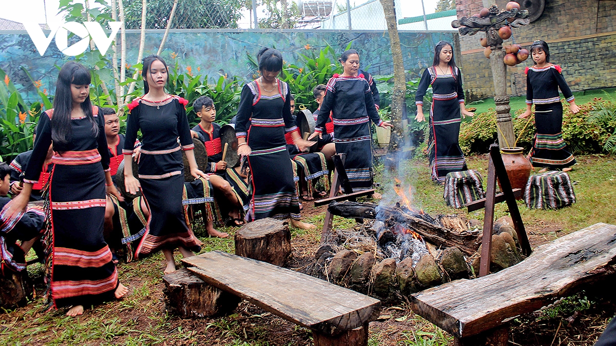 Doc dao dieu mua chim dai bang moi goi than linh cua nguoi E De hinh anh 2