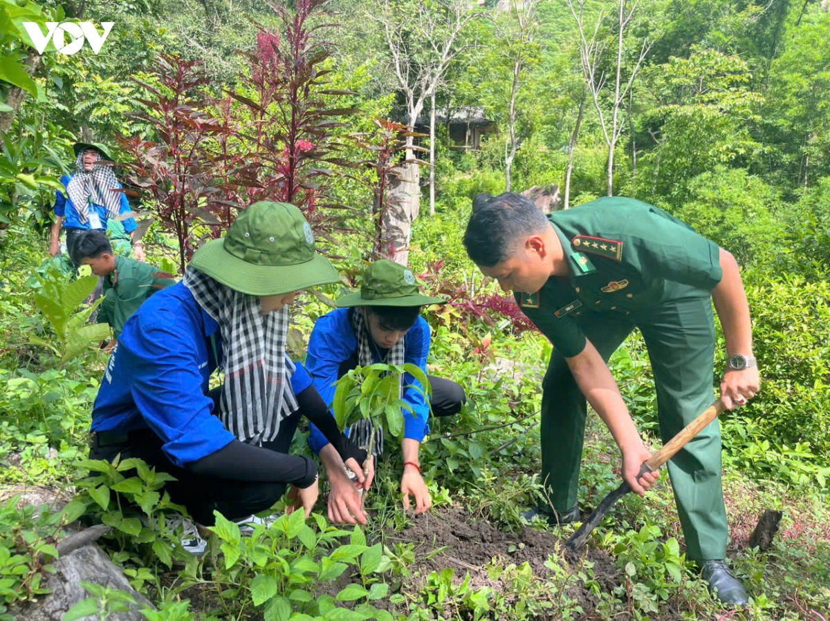 thap sang nhung ban lang vung bien bang suc linh quan ham xanh hinh anh 5