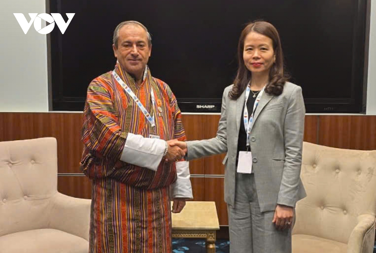 viet nam thuc day hop tac voi gcc, qatar, bhutan, saudi arabia tren nhieu linh vuc hinh anh 2