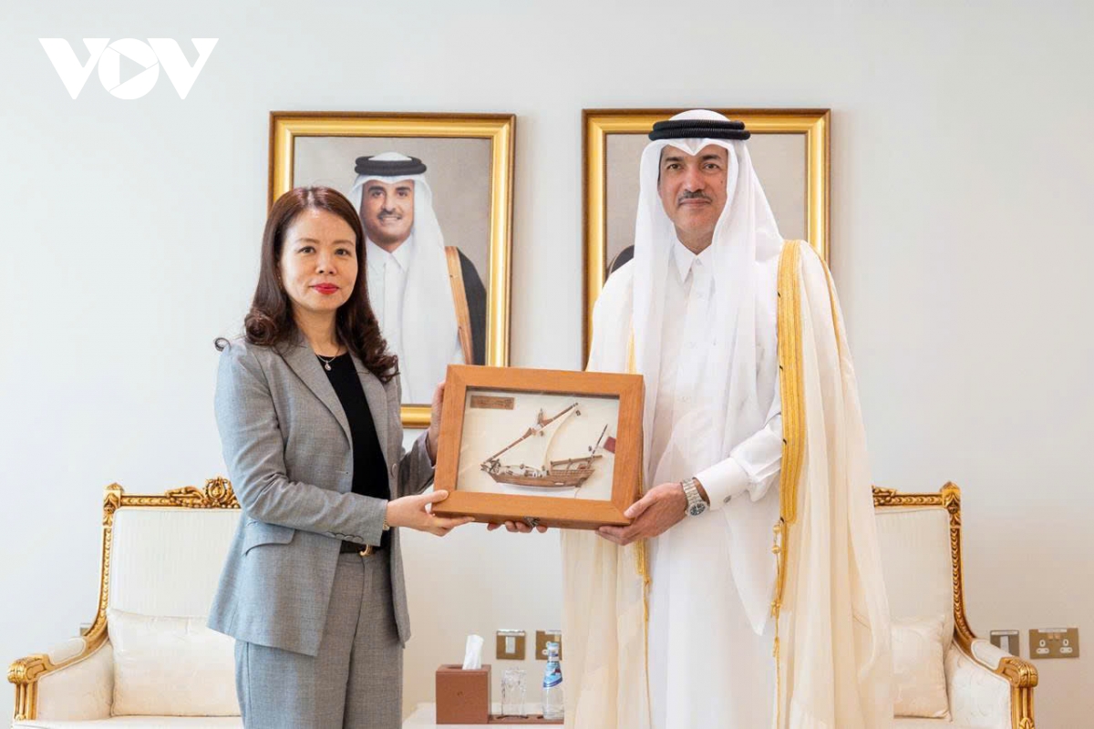 viet nam thuc day hop tac voi gcc, qatar, bhutan, saudi arabia tren nhieu linh vuc hinh anh 3