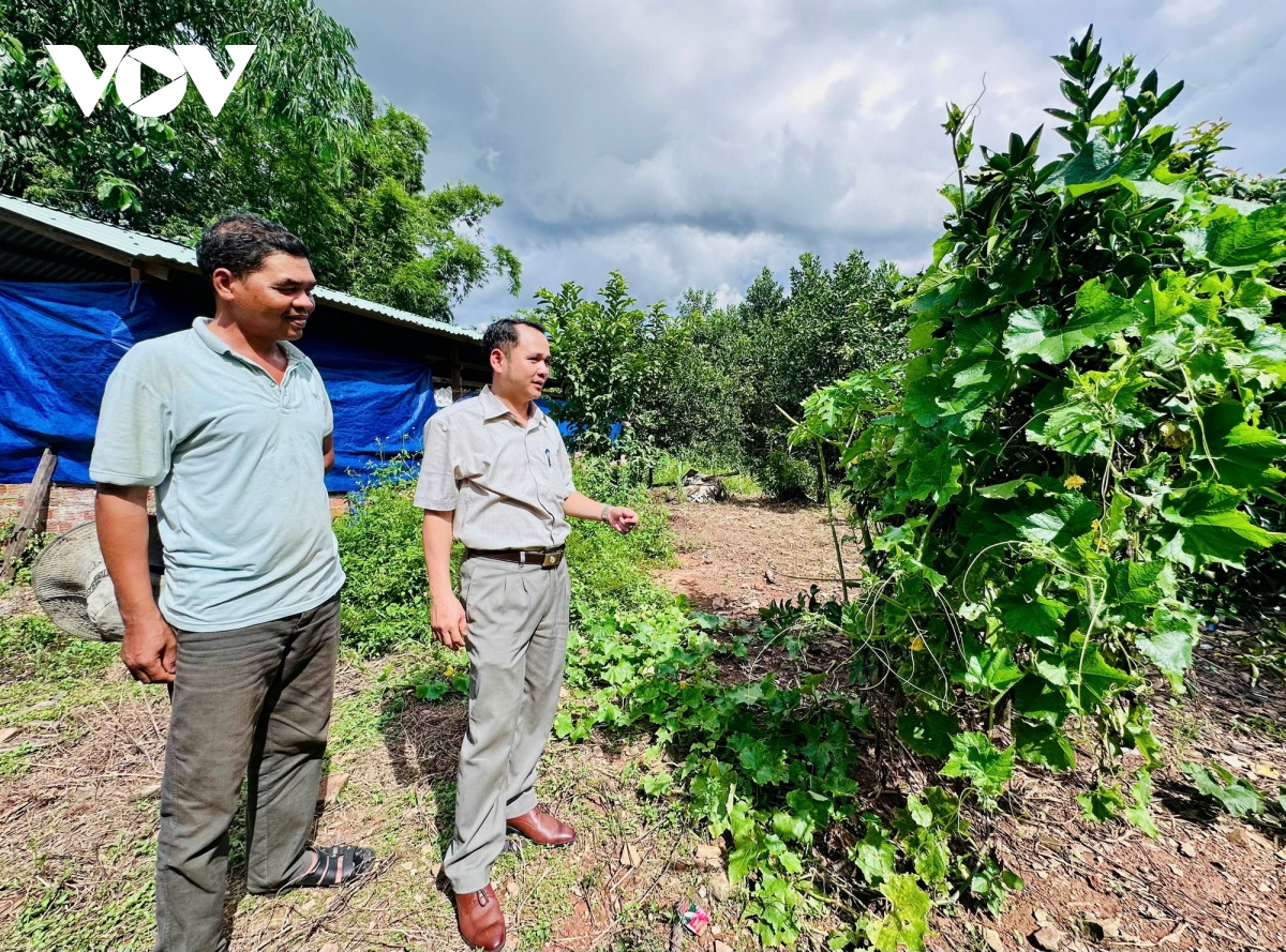 thu hut nguoi gioi ve cap xa can dat dung vo hinh anh 3
