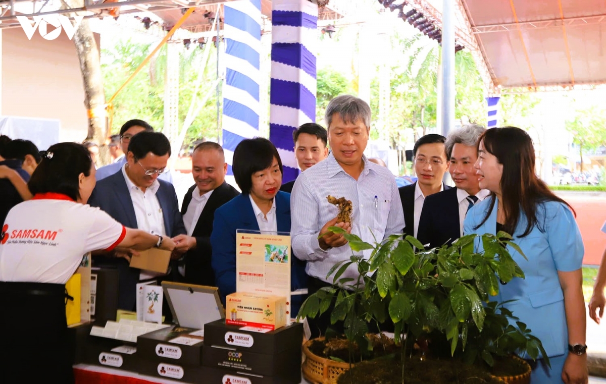 Da nang nang tam thuong hieu duoc lieu hinh anh 3