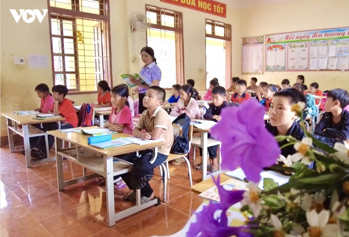  hoa rung noi reo cao bien gioi son la hinh anh 4