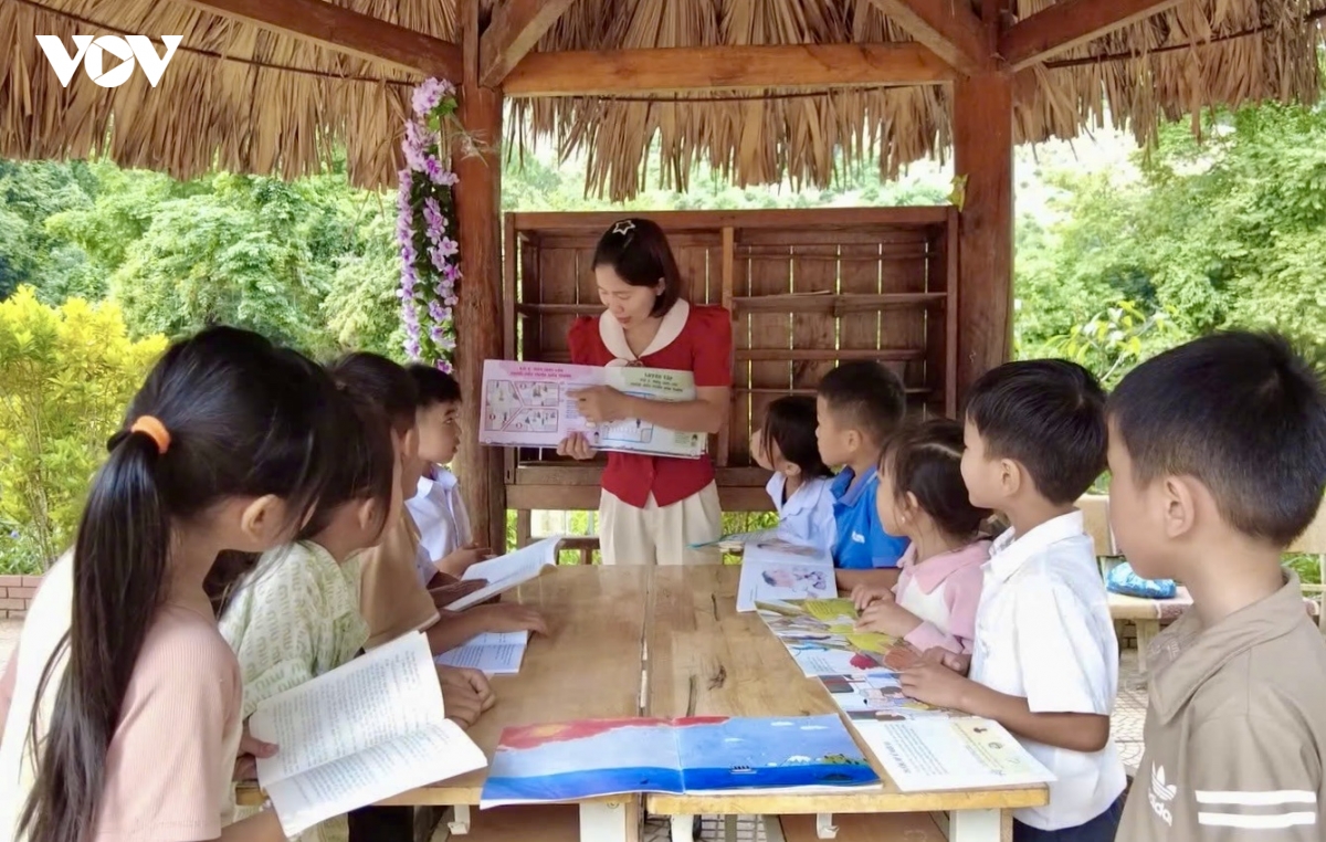  hoa rung noi reo cao bien gioi son la hinh anh 5