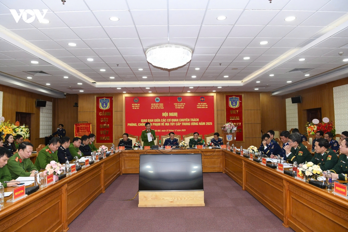 ma tuy tong hop gia tang, nam 2025 luc luong chuc nang phat hien gan 22.000 vu hinh anh 1