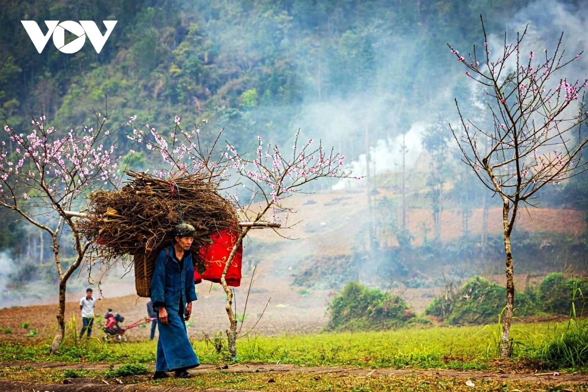 vitality on dong van karst plateau a unesco global geopark picture 11