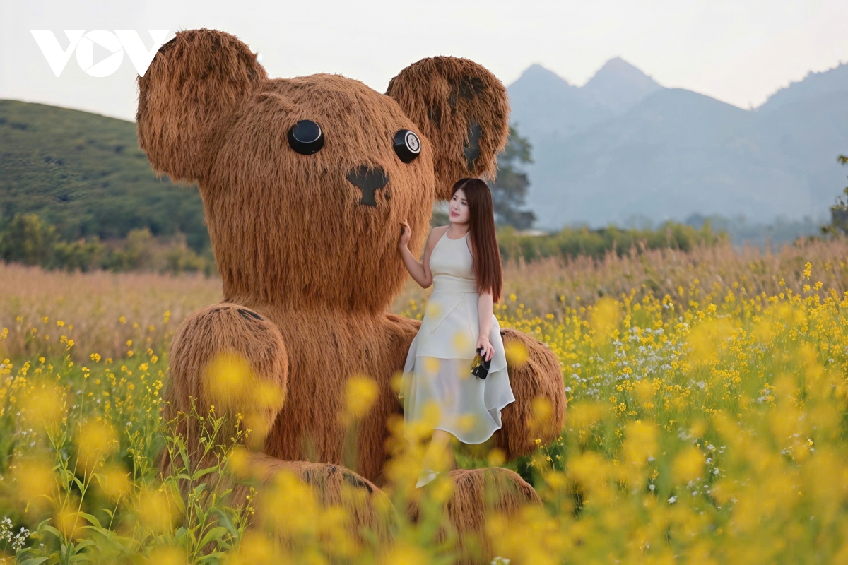 sac hoa goi dong ve tren cao nguyen moc chau hinh anh 11