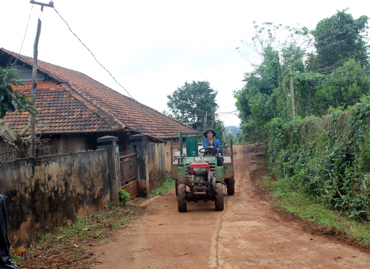 lang nung tuoi xanh tren vung dat moi tam giang, Dak lak hinh anh 2