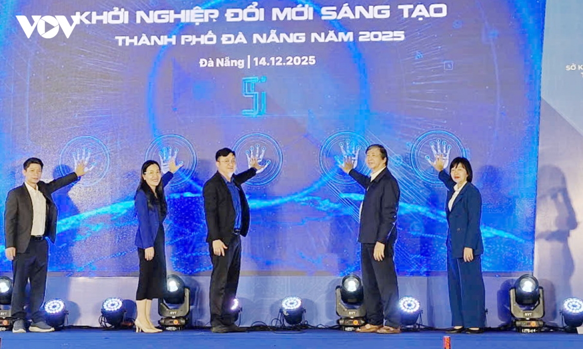 festival khoi nghiep doi moi sang tao Da nang nam 2025 hinh anh 1