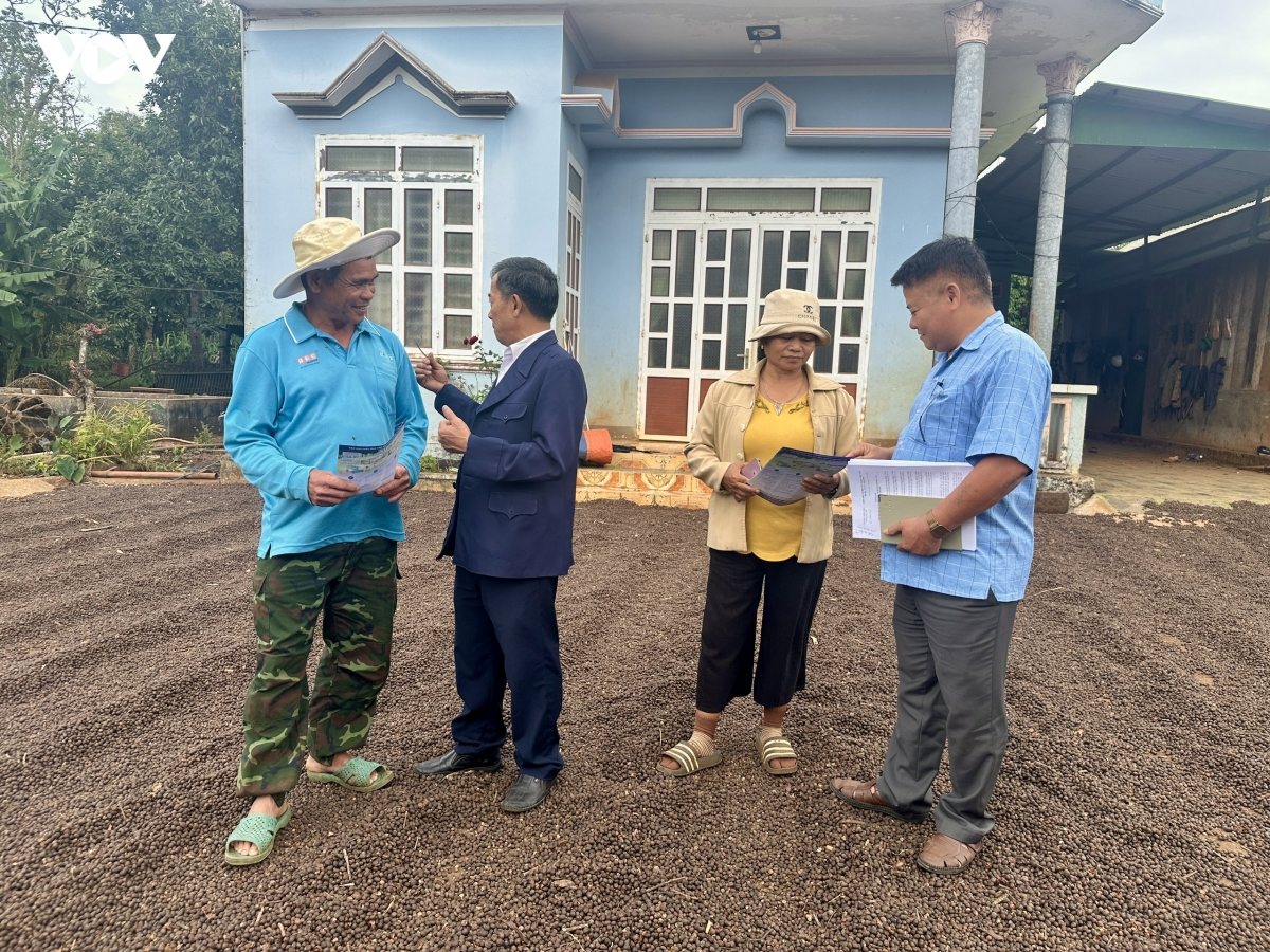 Dak lak trien khai tiem vaccine quy mo lon phong dich cho dan vat nuoi hinh anh 1