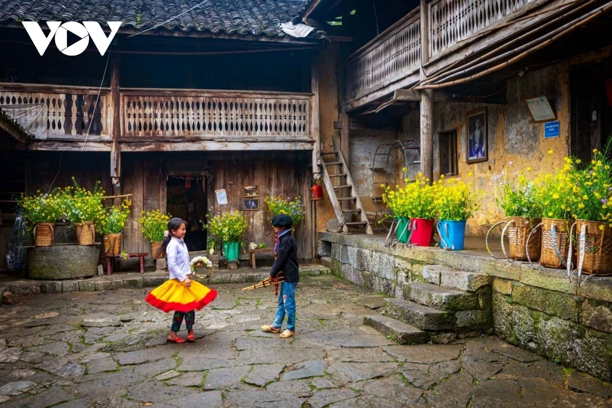 vitality on dong van karst plateau a unesco global geopark picture 6