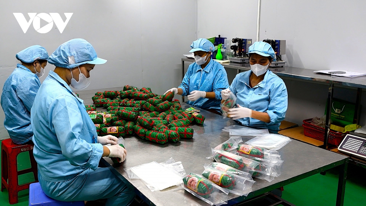 Nghệ An - Hiệu quả từ áp dụng hệ thống HACCP trong chế biến nông sản