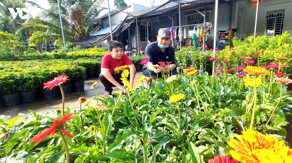 khong khi nhon nhip chuan bi cho festival hoa kieng sa Dec nam 2025 hinh anh 4