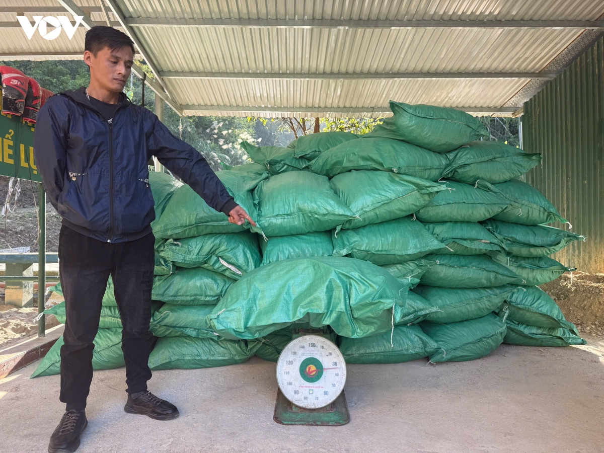 cao bang lien tiep bat giu khoi luong lon cau kho khong ro nguon goc hinh anh 1