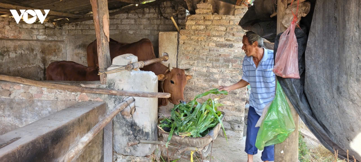 ty le ho ngheo cua tinh bac ninh giam con duoi 1 hinh anh 1