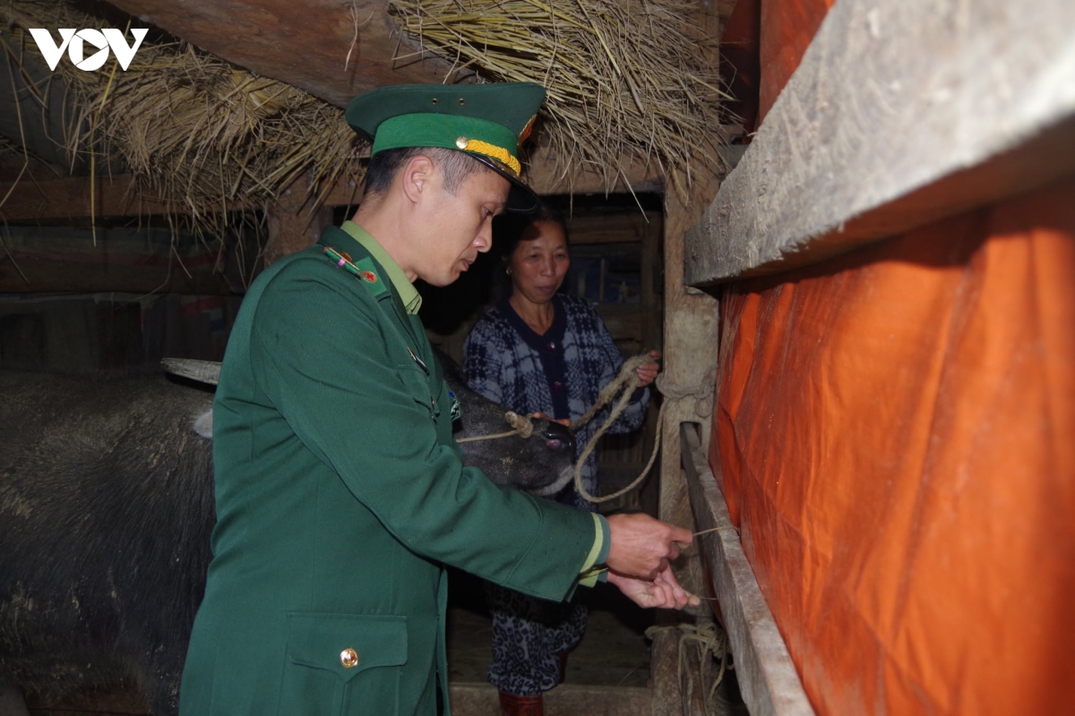 bo doi bien phong cao bang ho tro nguoi dan vung cao phong, chong ret hinh anh 3