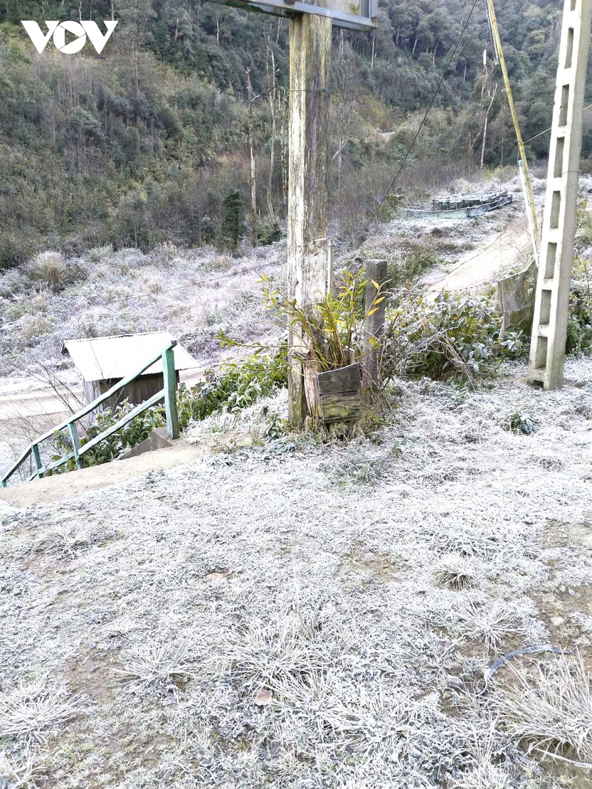 Băng giá phủ trắng xã biên giới Nghệ An