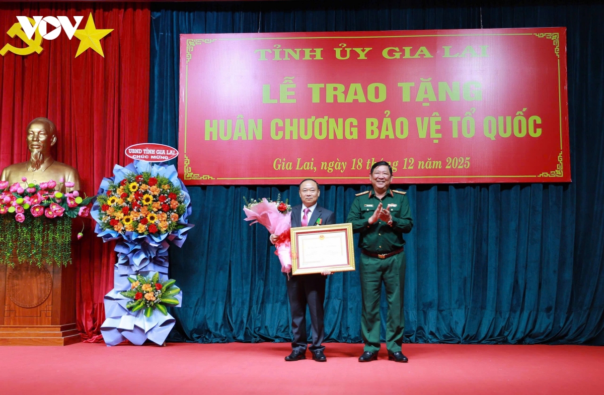 bi thu tinh uy gia lai duoc trao tang huan chuong bao ve to quoc hang ba hinh anh 1