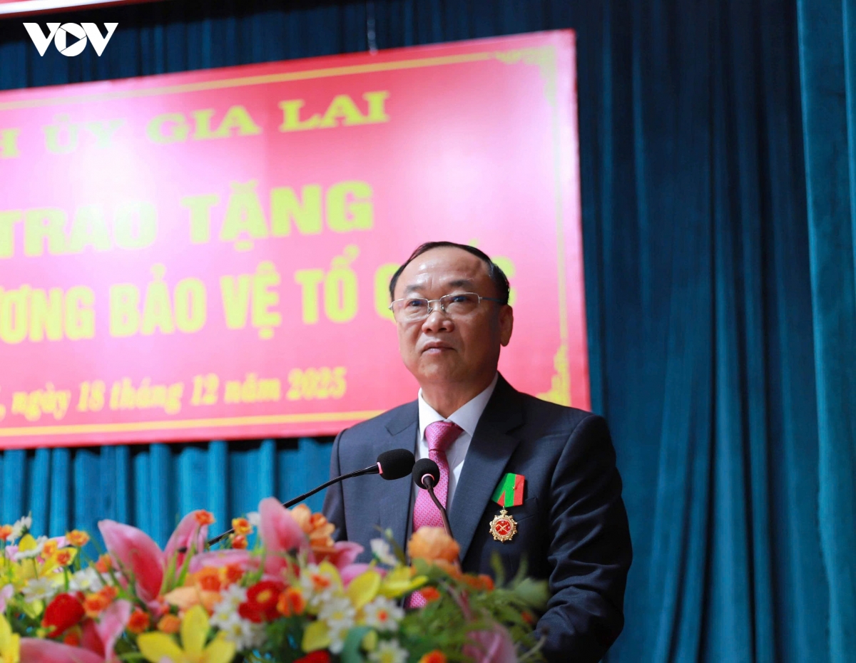 bi thu tinh uy gia lai duoc trao tang huan chuong bao ve to quoc hang ba hinh anh 2