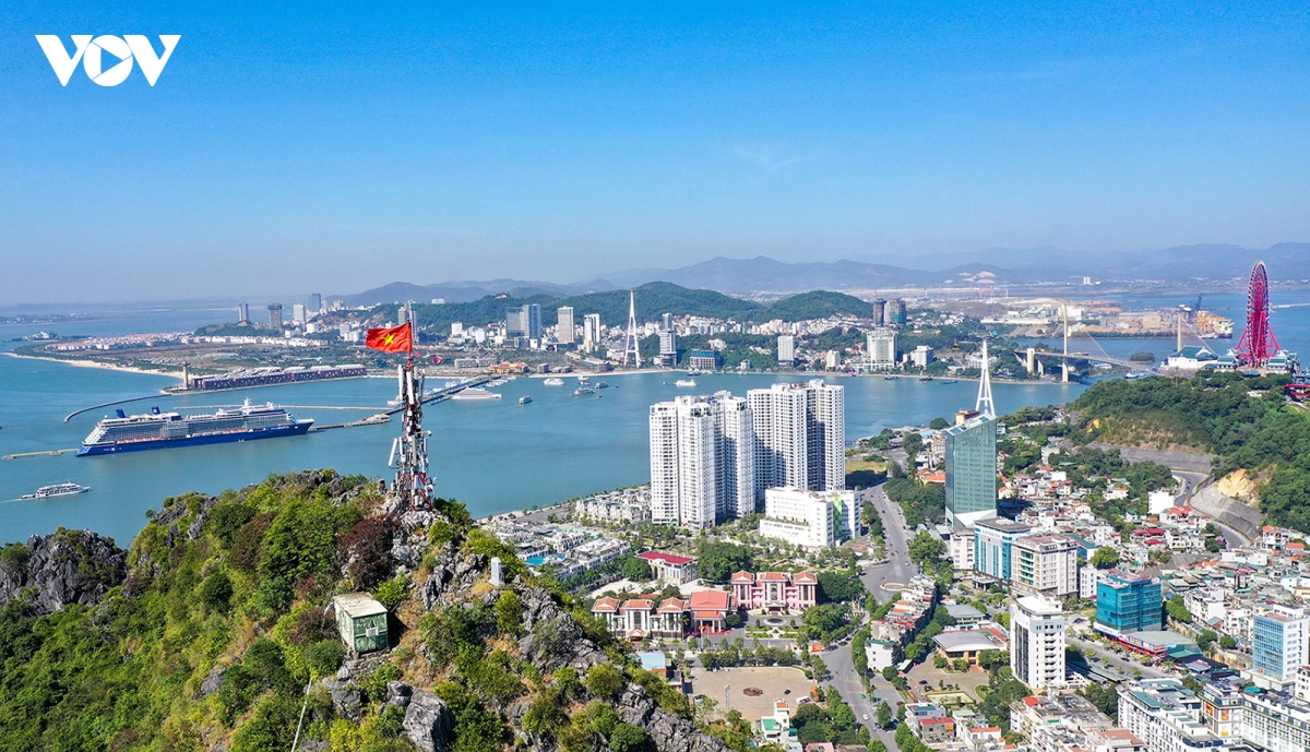 can canh nhung cay cau bac ngang vinh cua luc quang ninh hinh anh 1