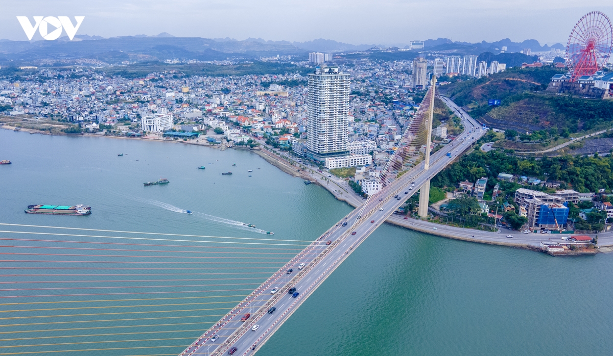 can canh nhung cay cau bac ngang vinh cua luc quang ninh hinh anh 14