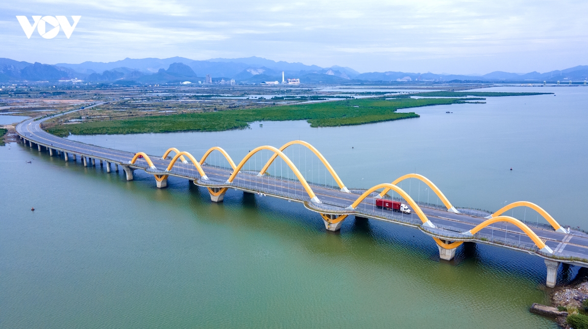 can canh nhung cay cau bac ngang vinh cua luc quang ninh hinh anh 8