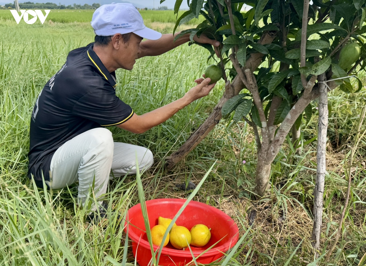 tp.hcm tim cach dua san pham ocop di xa hon hinh anh 1