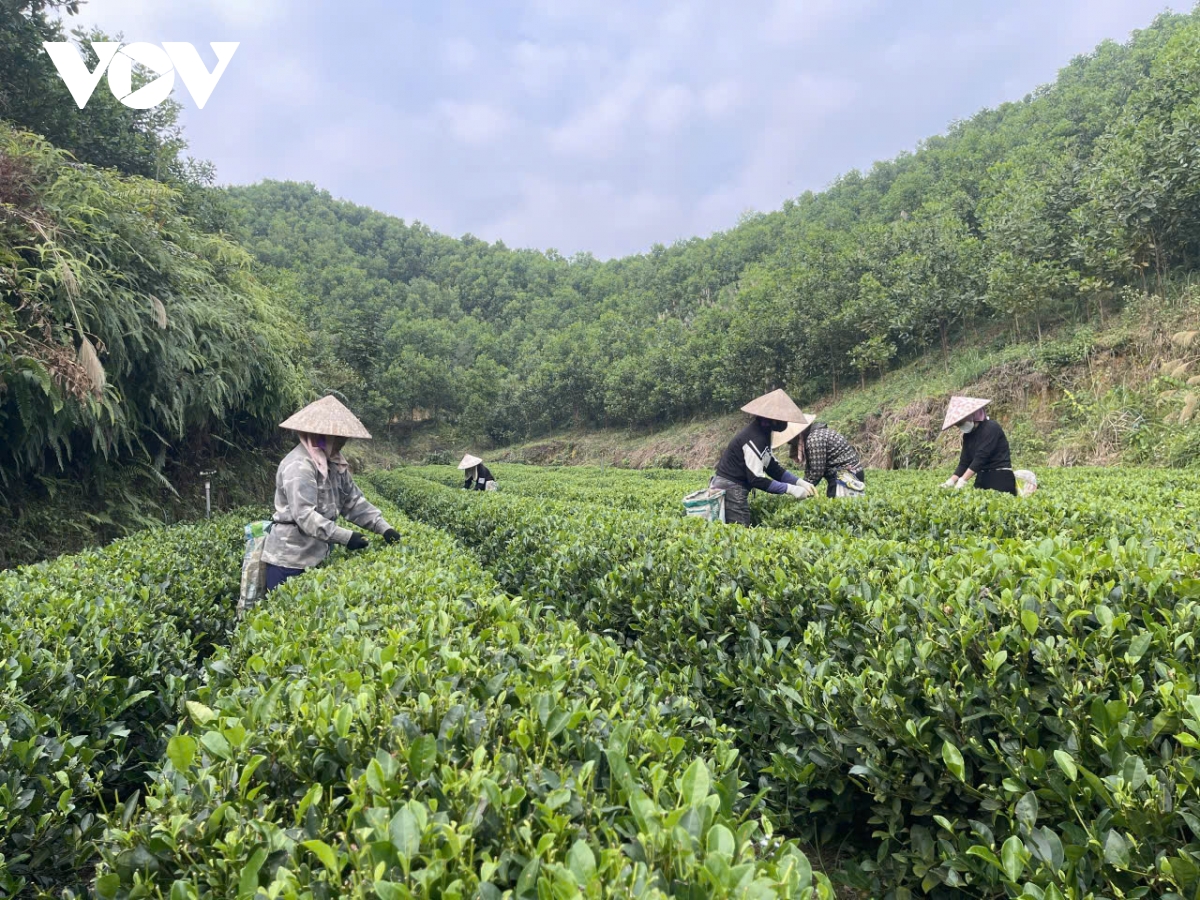 làng nghề ở thái nguyên chật vật vì thiếu điện hình ảnh 1 lang nghe o thai nguyen chat vat vi thieu dien hinh anh 1