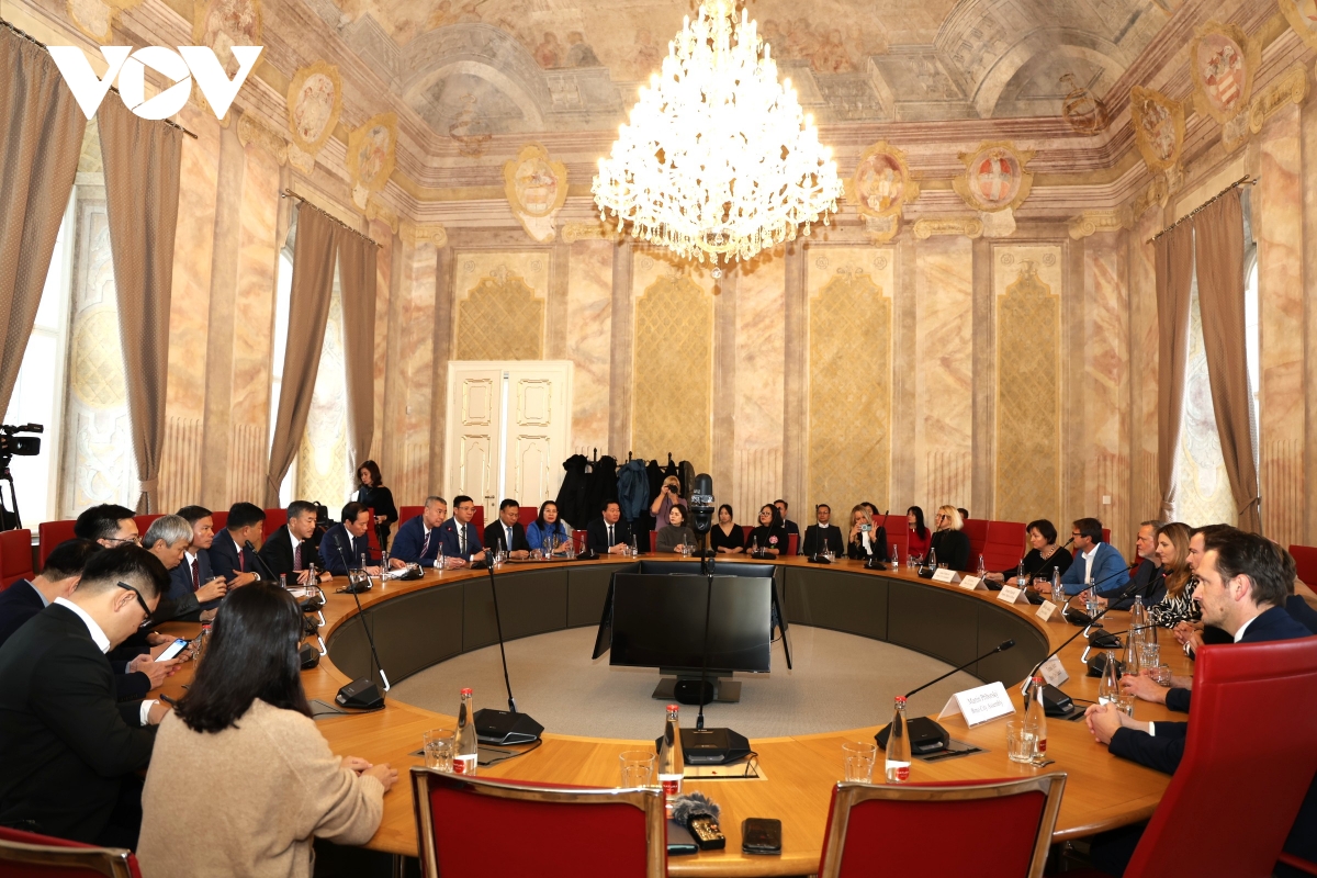 Thúc đẩy hợp tác địa phương và đầu tư giữa Hải Phòng và Cộng hòa Séc