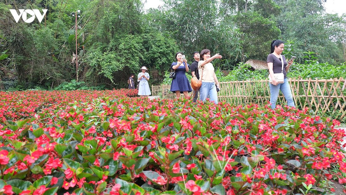 thai nguyen no luc thuc day du lich tro thanh nganh kinh te quan trong hinh anh 1