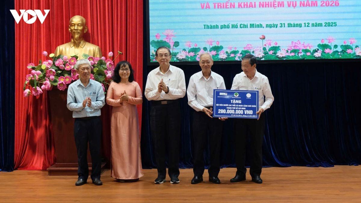 tong ket phong trao tuoi cao - guong sang tai tp.hcm hinh anh 5